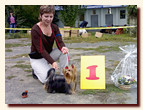 yorkshire terrier FOREVER INLOVE STRIBRNE PRANI,  , , 