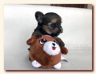 МАЛЬЧИК 2 русская
