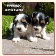   , , , 