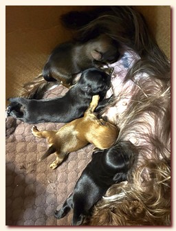 ��������� ����� ������� �������� ������