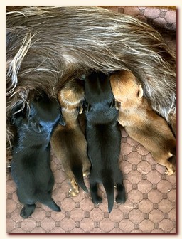 ��������� ����� ������� �������� ������