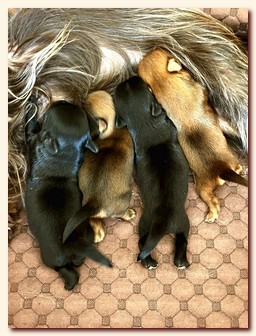 ��������� ����� ������� �������� ������