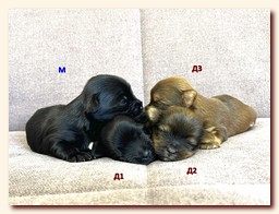 ��������� ����� ������� �������� ������