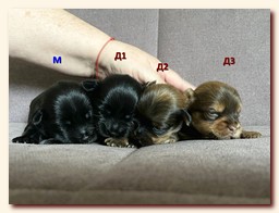 ��������� ����� ������� �������� ������