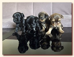 ��������� ����� ������� �������� ������