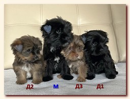 ��������� ����� ������� �������� ������