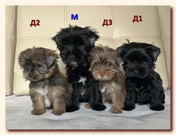 ��������� ����� ������� �������� ������