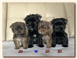 ��������� ����� ������� �������� ������