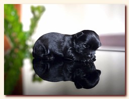 ��������� ����� ������� �������� ������