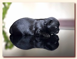 ��������� ����� ������� �������� ������