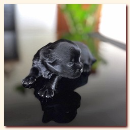 ��������� ����� ������� �������� ������