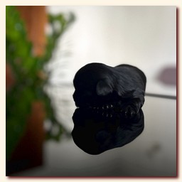 ��������� ����� ������� �������� ������