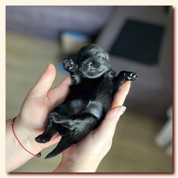 ��������� ����� ������� �������� ������