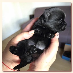 ��������� ����� ������� �������� ������