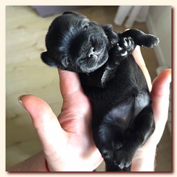 ��������� ����� ������� �������� ������