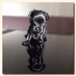 ��������� ����� ������� �������� ������