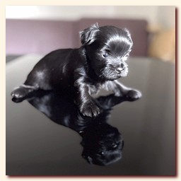 ��������� ����� ������� �������� ������