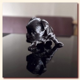 ��������� ����� ������� �������� ������