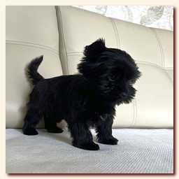 ��������� ����� ������� �������� ������