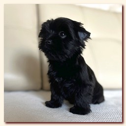 ��������� ����� ������� �������� ������