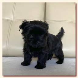 ��������� ����� ������� �������� ������