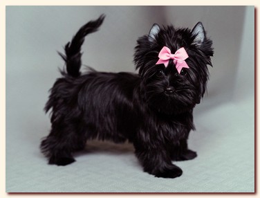 ��������� ����� ������� �������� ������