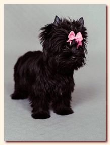 ��������� ����� ������� �������� ������