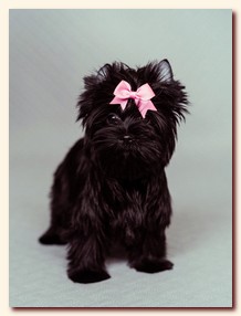 ��������� ����� ������� �������� ������