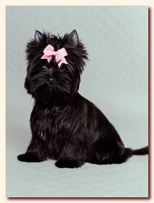 ��������� ����� ������� �������� ������