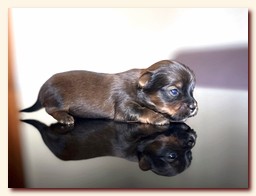 ��������� ����� ������� �������� ������