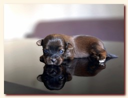 ��������� ����� ������� �������� ������