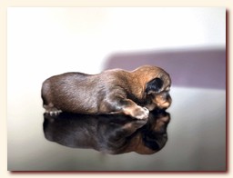 ��������� ����� ������� �������� ������