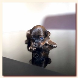 ��������� ����� ������� �������� ������