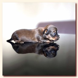 ��������� ����� ������� �������� ������