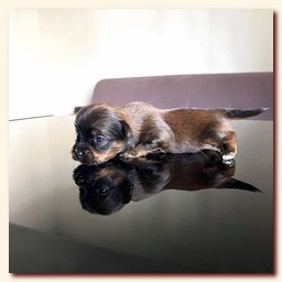 ��������� ����� ������� �������� ������