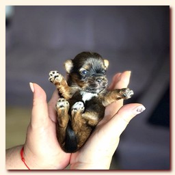 ��������� ����� ������� �������� ������