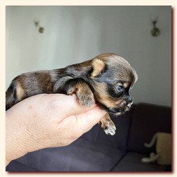 ��������� ����� ������� �������� ������