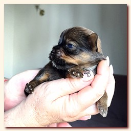 ��������� ����� ������� �������� ������