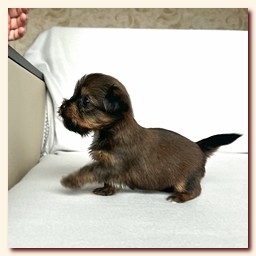 ��������� ����� ������� �������� ������