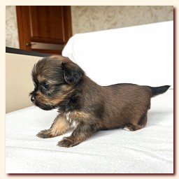 ��������� ����� ������� �������� ������