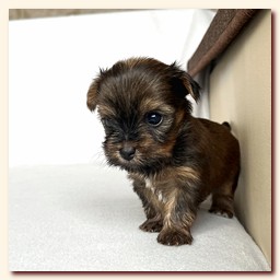 ��������� ����� ������� �������� ������