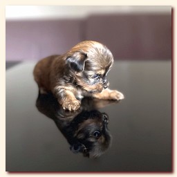 ��������� ����� ������� �������� ������