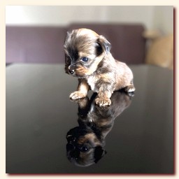 ��������� ����� ������� �������� ������