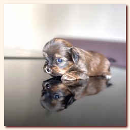 ��������� ����� ������� �������� ������