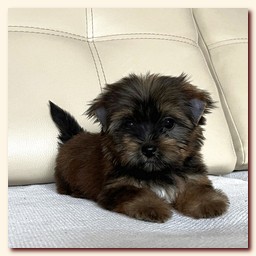 ��������� ����� ������� �������� ������