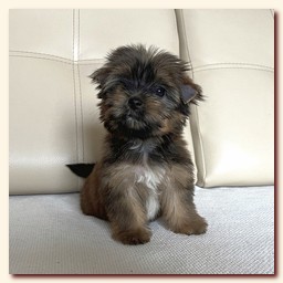 ��������� ����� ������� �������� ������