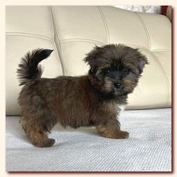 ��������� ����� ������� �������� ������