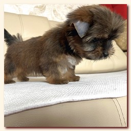 ��������� ����� ������� �������� ������