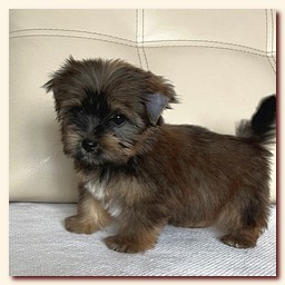 ��������� ����� ������� �������� ������