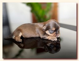 ��������� ����� ������� �������� ������